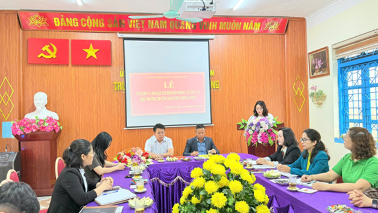 Hình ảnh 2