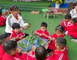 Các hoạt động của cô và trẻ