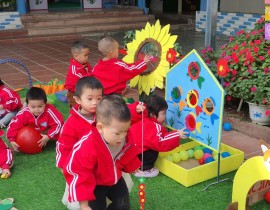 Các hoạt động của cô và trẻ