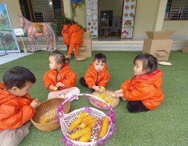 Các hoạt động của cô và trẻ