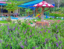 Điểm Trường Noong Luống