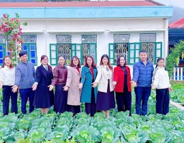 "Vườn Bắp cải của bé"